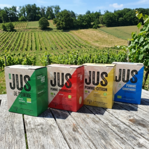 Cubis de jus de pomme